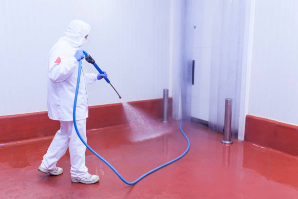 Best Building Exterior Washing  in Sayville, NY
